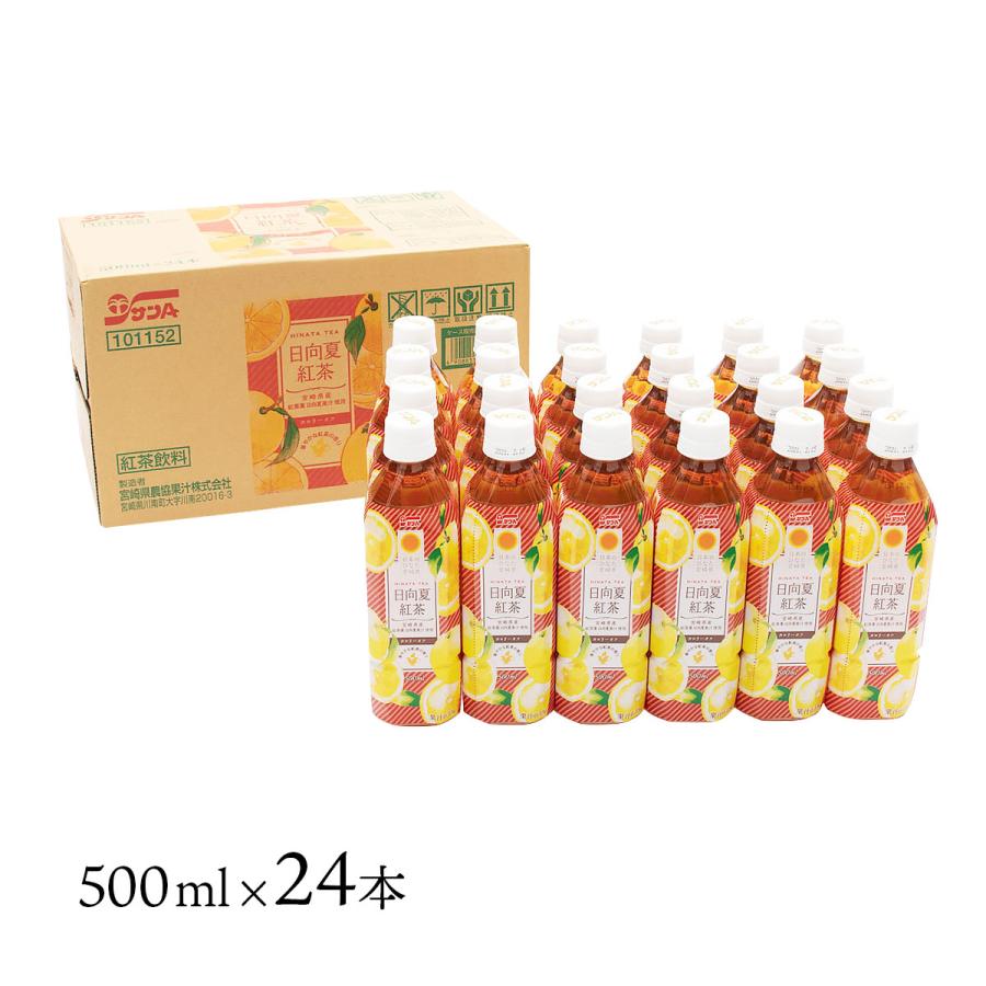 送料無料 [宮崎県農協果汁(サンA)]【ケース販売】日向夏 紅茶 500ml×24