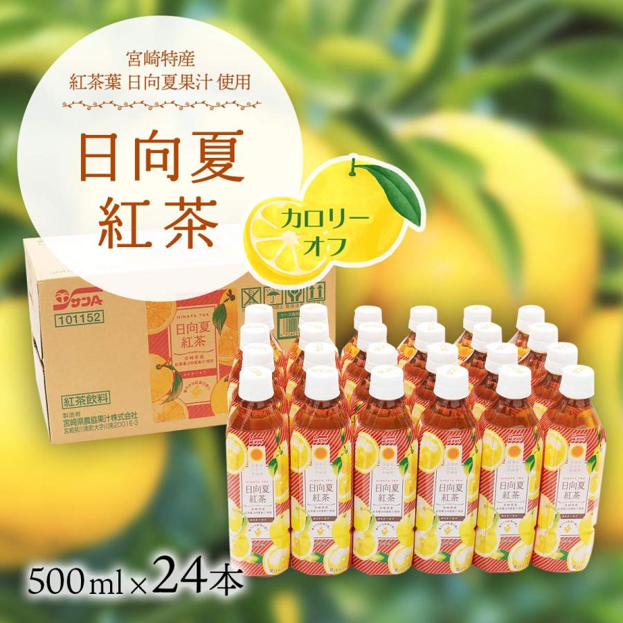 送料無料 [宮崎県農協果汁(サンA)]【ケース販売】日向夏 紅茶 500ml×24
