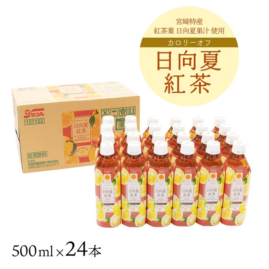 送料無料 [宮崎県農協果汁(サンA)]【ケース販売】日向夏 紅茶 500ml×24