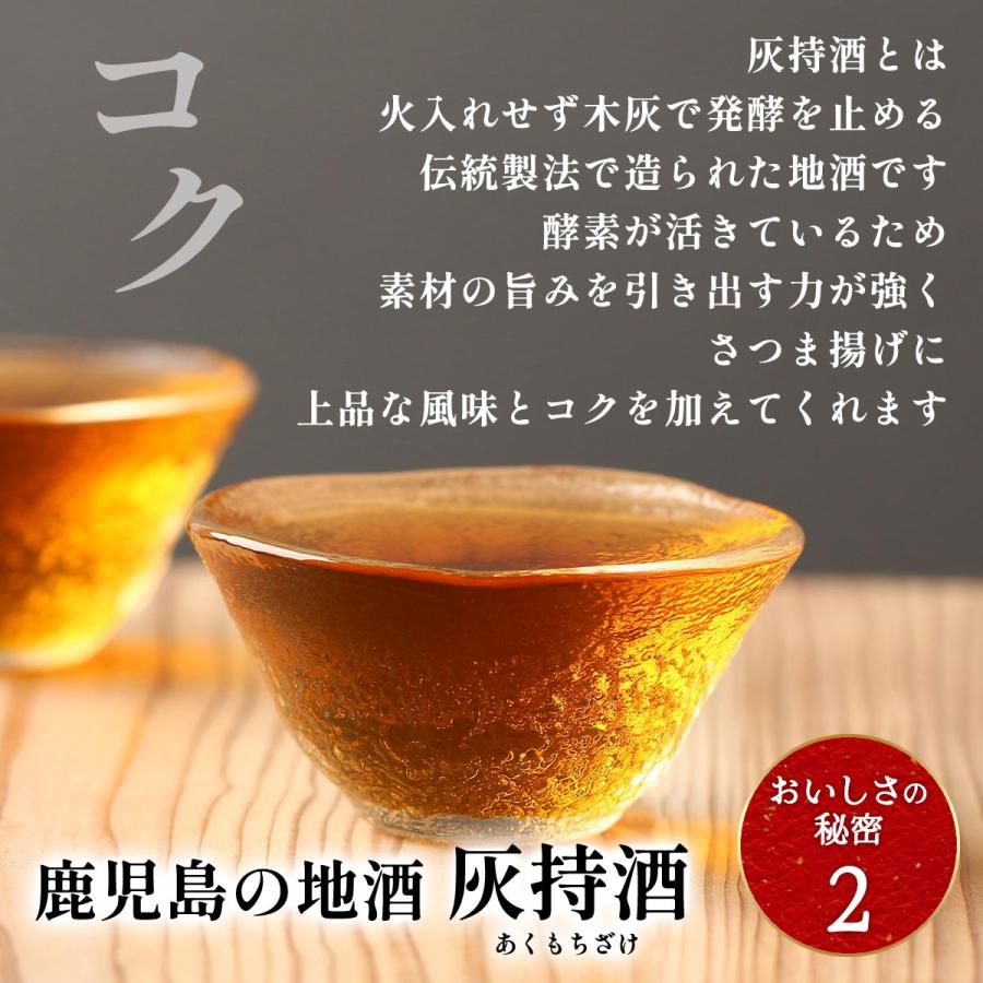 中新商店] さつまあげ 串木野 中新 さつま揚げセット N-9種/練り物