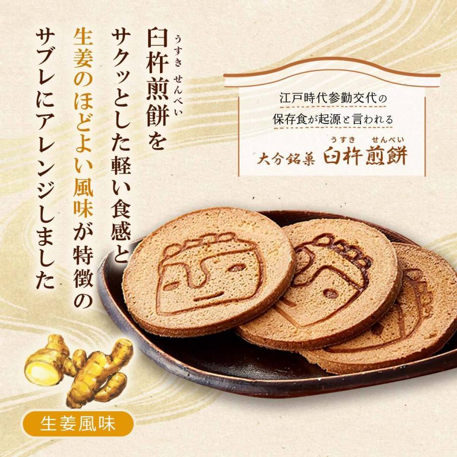 後藤製菓] 臼杵せんべいサブレ 10枚入り(1枚×10袋)/大分/臼杵/サブレ