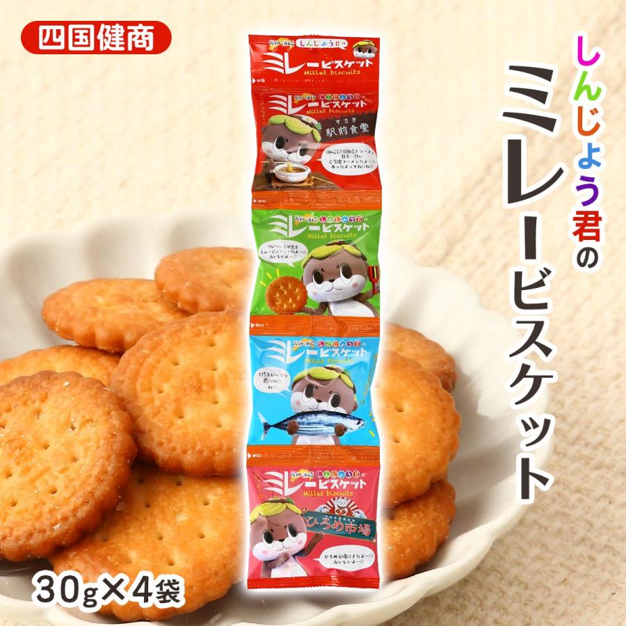 SONY・ハンディカム・スタミナランチバスケット【懸賞品、新品、未使用