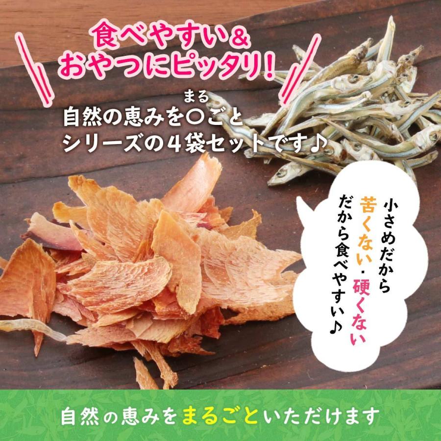 nipponmarche_4970981804149_1