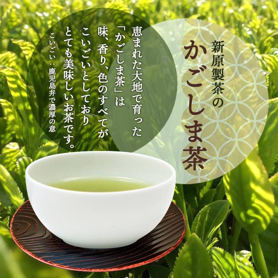 新原製茶] 知覧茶 特撰 深むし印 知覧深むし茶100g/鹿児島県/緑茶/名