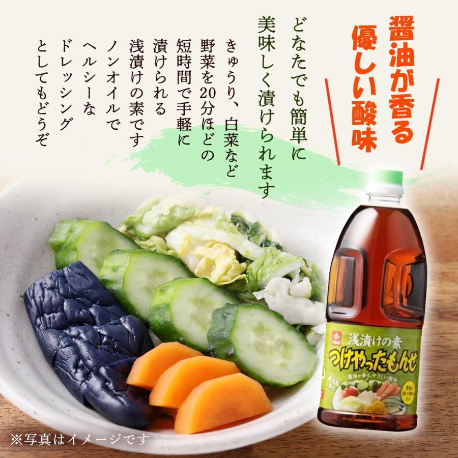 浅漬けの素 2本セット [藤安醸造 ヒシク] つけやったもんせ 1L×2本