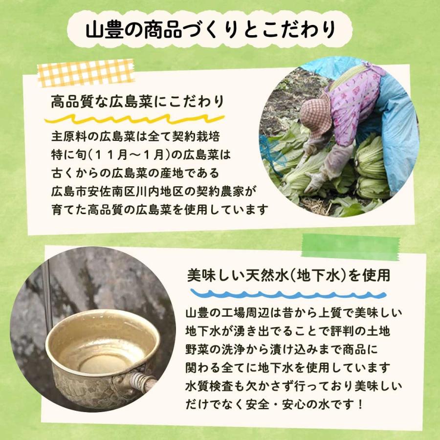 送料無料 [山豊] 漬物 広島菜 レモン 広島菜  100g×3 /広島 漬物 漬菜 広島菜 レモン 国産｜nipponmarche｜09