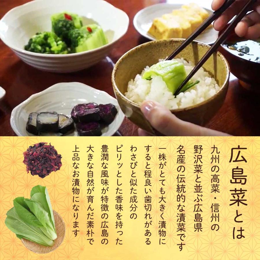 漬物 山豊 鮭節広島菜 80g /ごはんのおとも 広島菜 惣菜 広島県 国産 薬味 トッピング 鮭 鮭節 白ごはん おにぎり 漬物 つけもの 瓶入り 北海道産鮭 料理の具材｜nipponmarche｜05