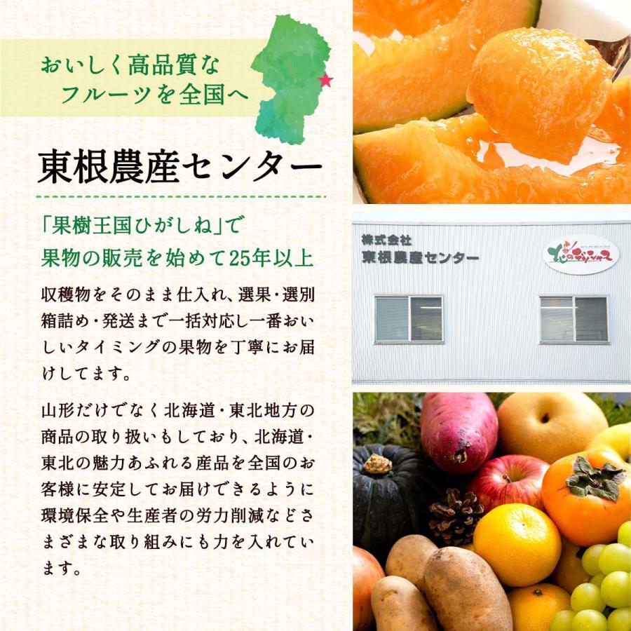 送料無料 東根農産センター 山形スイカ【スイカスティックセット】山形