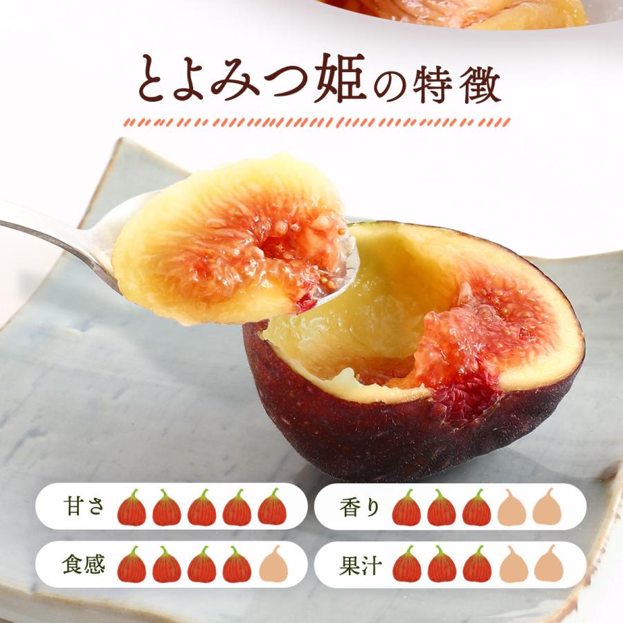いちじく イチジク 福岡中央青果 いちじく(博多とよみつ姫) 300g×4パック