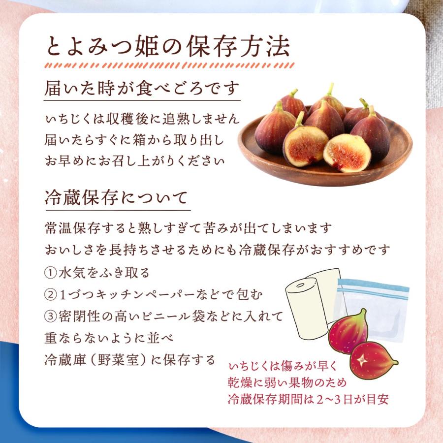 いちじく いちじく苗 | 株式会社丸筑農園 / まるちく 福岡県久留米市