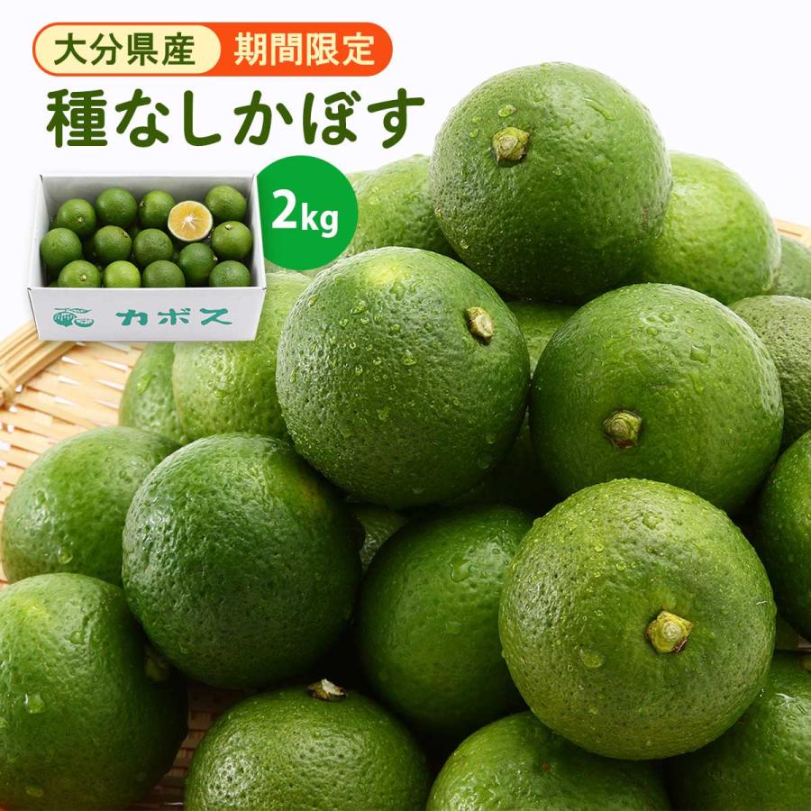種なしかぼす オレンジ農園 2kg 【発送時期:9月中旬〜11月末】/種無 大分県産 カボス 柑橘 国産 季節限定 青果 産地直送 予約販売 ...