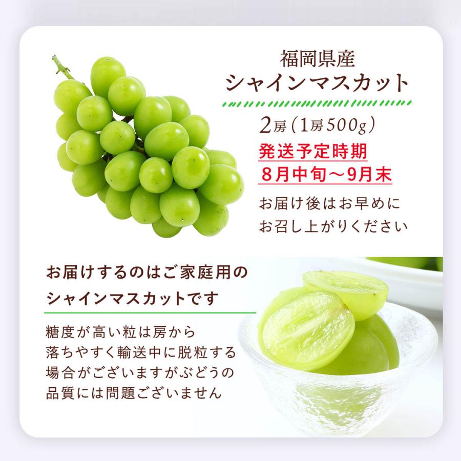 送料無料 福岡県産 シャインマスカット 500g×2房 ご家庭用 【発送時期