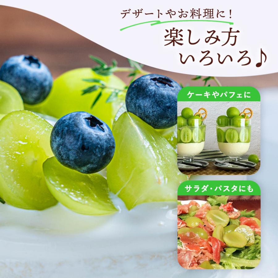 送料無料 福岡県産 シャインマスカット 500g×2房 ご家庭用 【発送時期