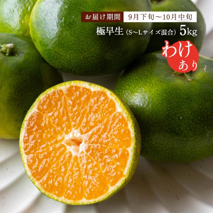 愛媛県産みかん 5kg [玉津柑橘倶楽部] 温州みかん(極早生) 訳あり品 S