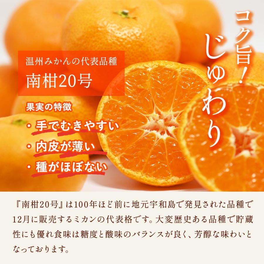 愛媛県産みかん 5kg [玉津柑橘倶楽部] 温州みかん 小玉(南柑20号) 訳