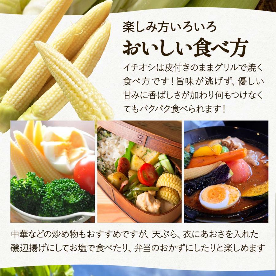 送料無料 朝どれプレミアムヤングコーン 15本入り 【出荷開始:3月