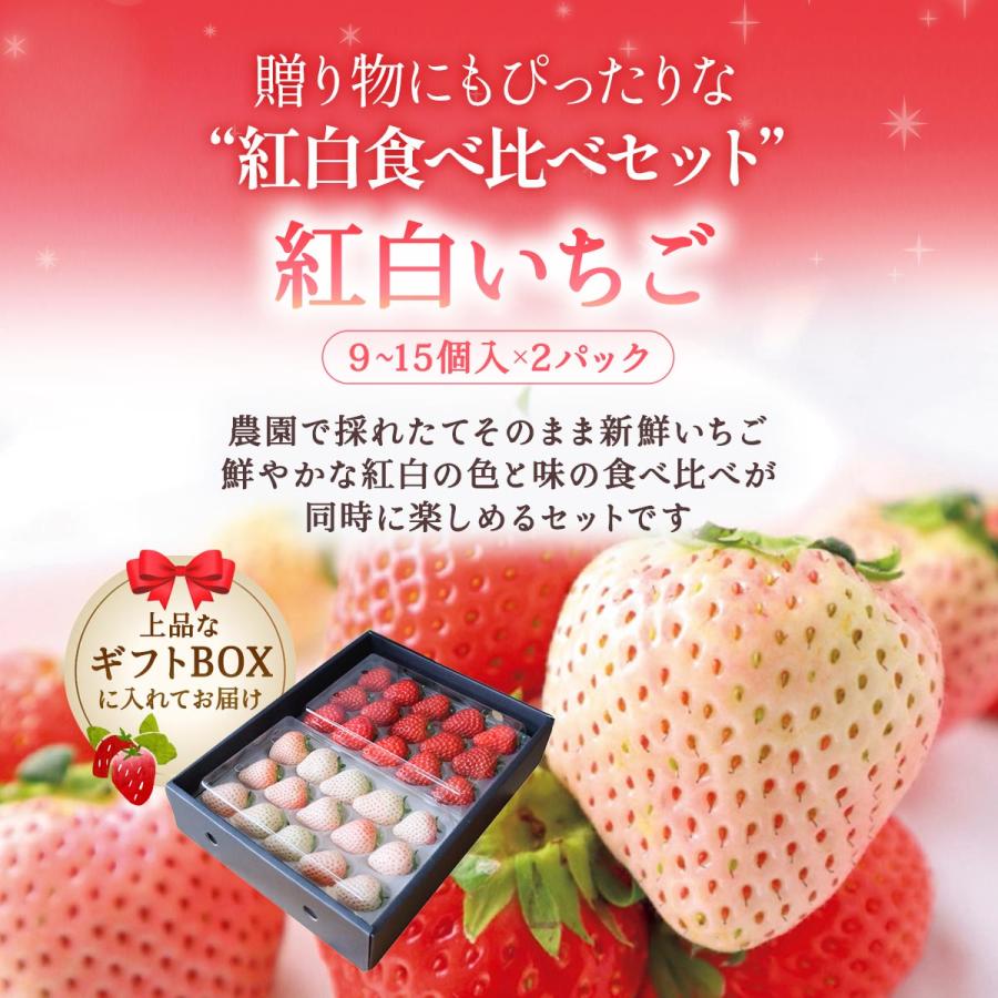 送料無料 【ギフト】福岡県産 紅白いちご 2パックセット 【出荷時期:2