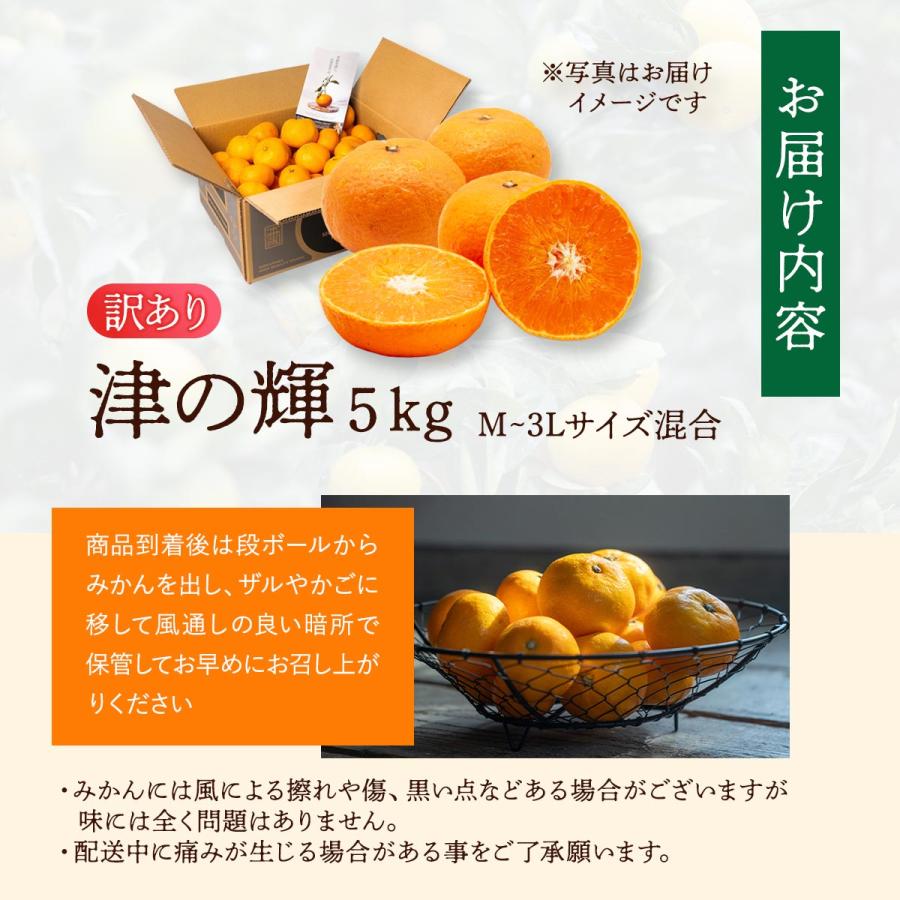 和歌山県産 みかん 5kg 送料無料 [森本農園] 津の輝 訳あり M〜3L 【2
