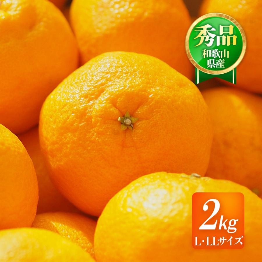 和歌山県産 デコポン 2kg 送料無料 [森本農園] 不知火(デコポン) 秀品
