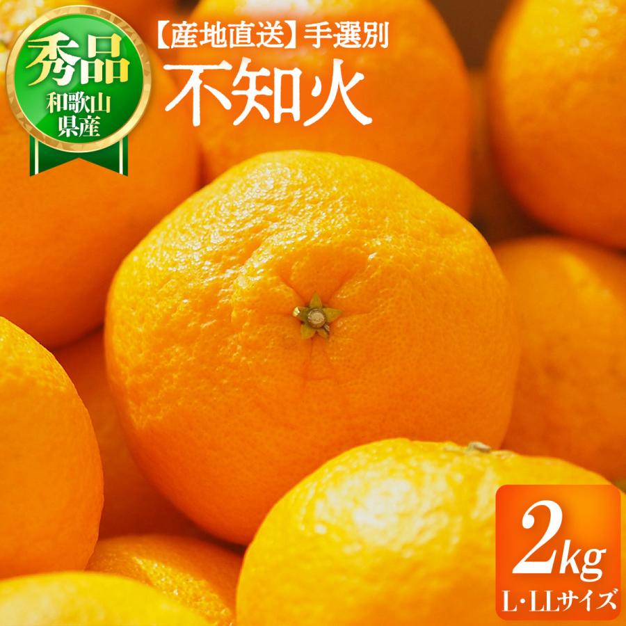 和歌山県産 デコポン 2kg 送料無料 [森本農園] 不知火(デコポン) 秀品