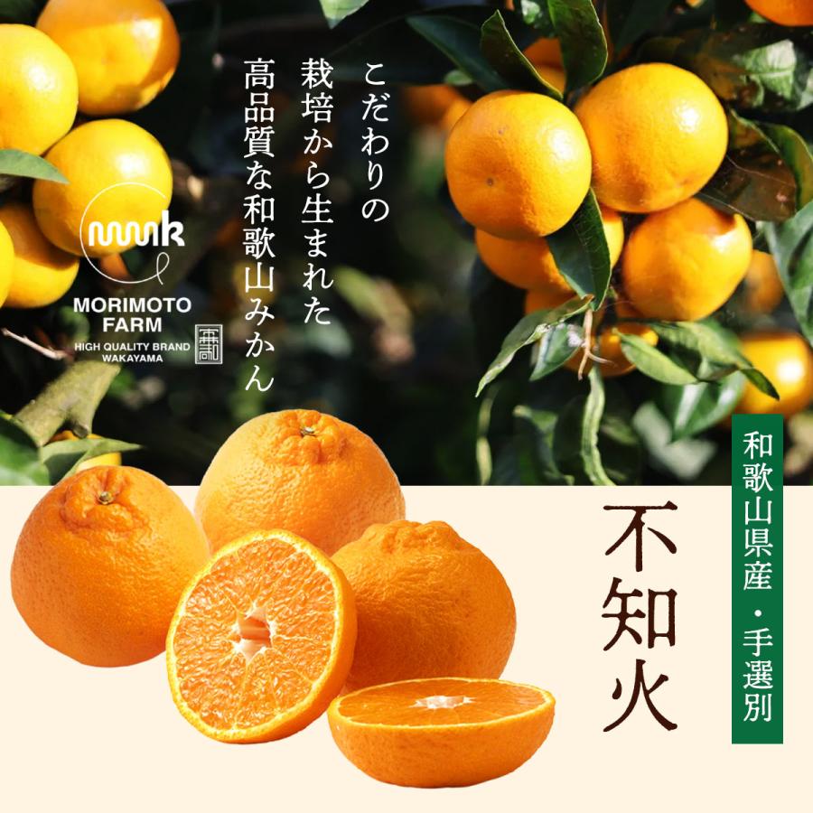 和歌山県産 デコポン 2kg 送料無料 [森本農園] 不知火(デコポン) 秀品