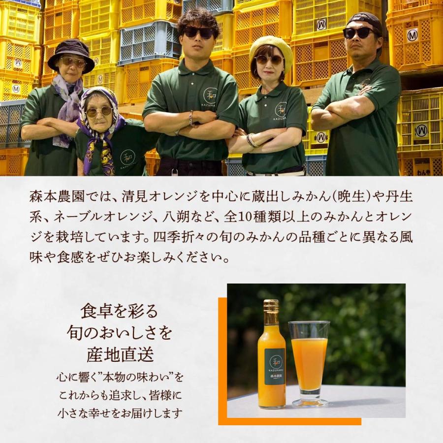 和歌山県産 デコポン 10kg 送料無料 [森本農園] 不知火(デコポン) 訳