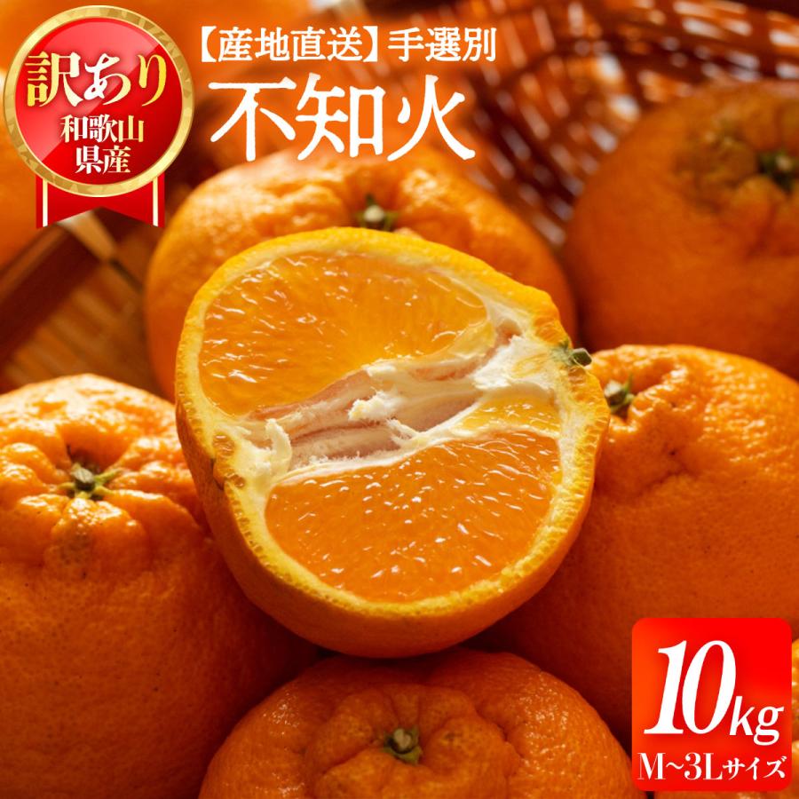 デコポン専用 和歌山県産 デコポン 10kg 送料無料 [森本農園] 不知火(デコポン) 訳