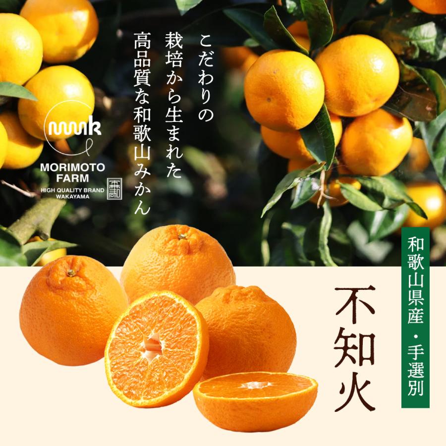 和歌山県産 デコポン 10kg 送料無料 [森本農園] 不知火(デコポン) 訳