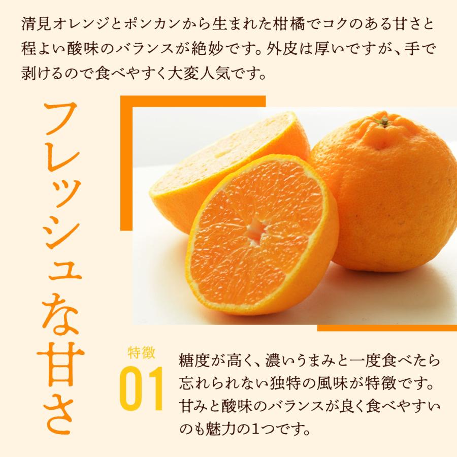 和歌山県産 デコポン 10kg 送料無料 [森本農園] 不知火(デコポン) 訳