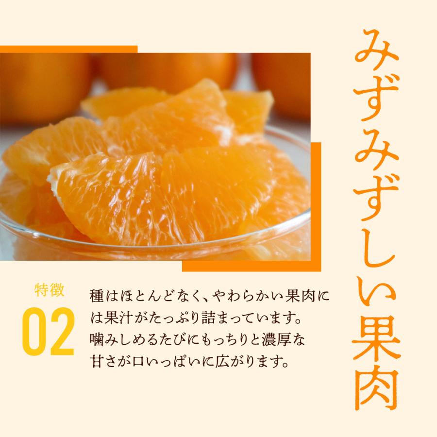 和歌山県産 デコポン 10kg 送料無料 [森本農園] 不知火(デコポン) 訳