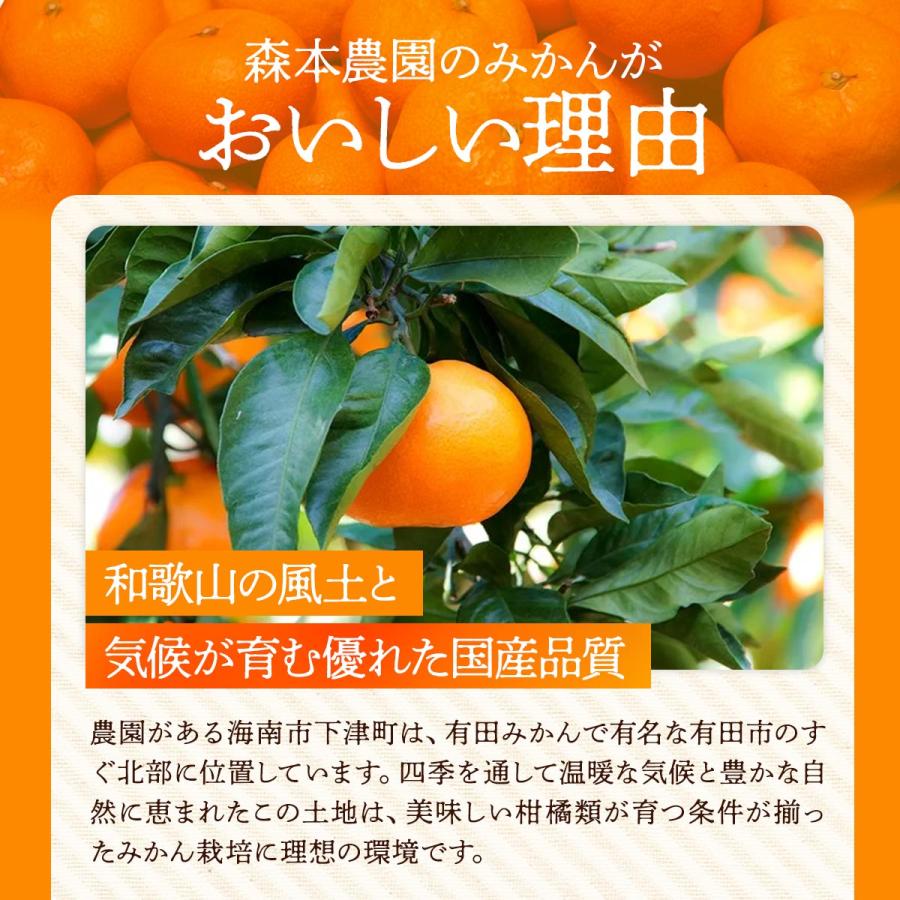 和歌山県産 デコポン 10kg 送料無料 [森本農園] 不知火(デコポン) 訳