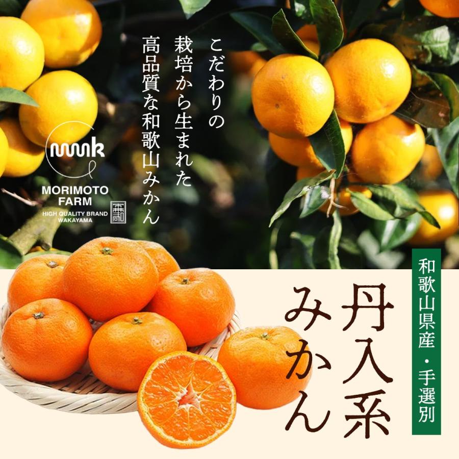 和歌山県産みかん 2kg 送料無料 [森本農園] 丹生系みかん 秀・優混合SS