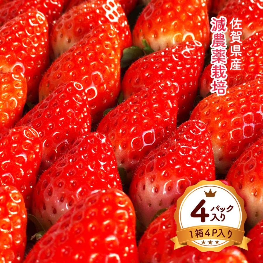 いちごさん専用 佐賀県産いちご 送料無料 [平川いちご農園] いちごさん (茶箱