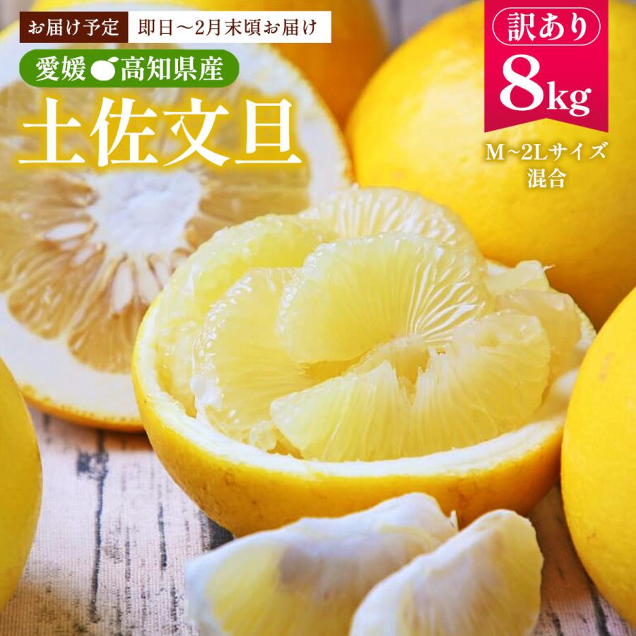 訳あり 土佐文旦 8kg 送料無料 [フレッシュつちやま] /みかん ミカン