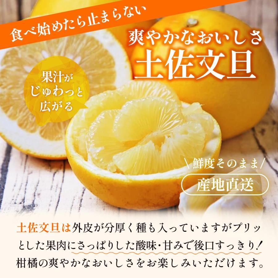 訳あり 土佐文旦 8kg 送料無料 [フレッシュつちやま] /みかん ミカン