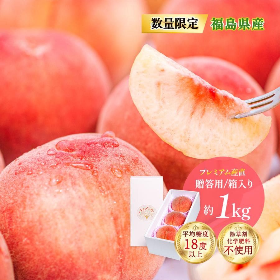 福島産桃 送料無料 [陽と人] 福島県産 桃源の極み 化粧箱入 約1kg・3玉