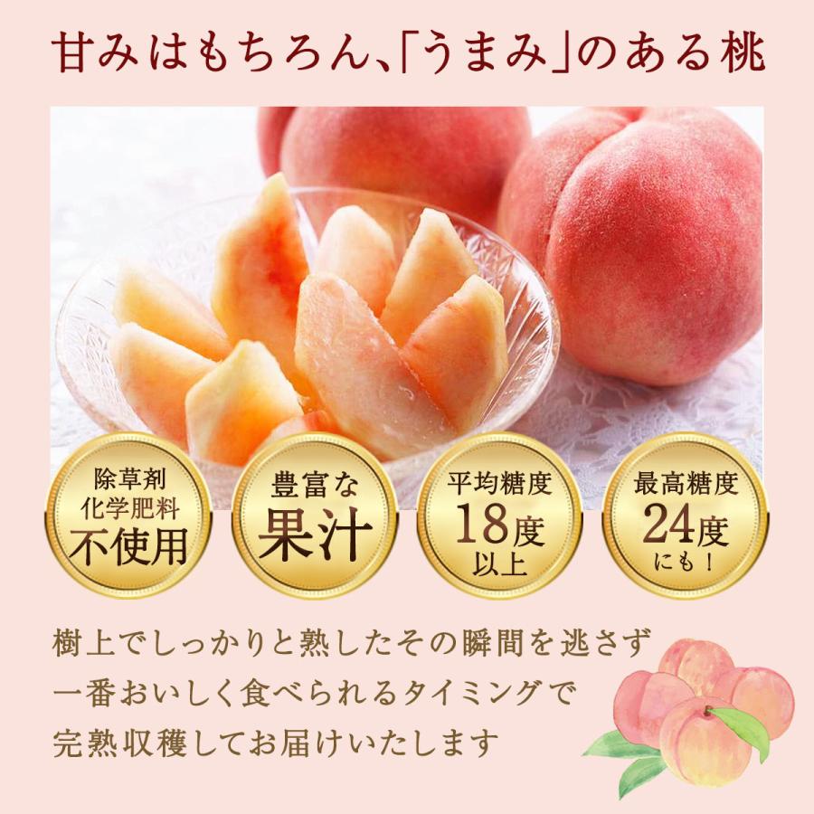 福島産桃 送料無料 [陽と人] 福島県産 桃源の極み 化粧箱入 約1kg・3玉