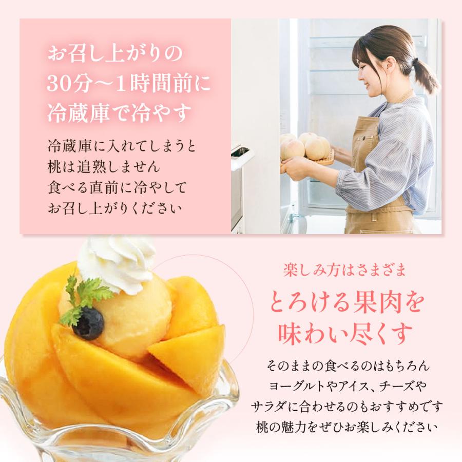 送料無料 岡山県産 黄金桃 3玉(300g×3) 【出荷時期:8月下旬頃〜順次