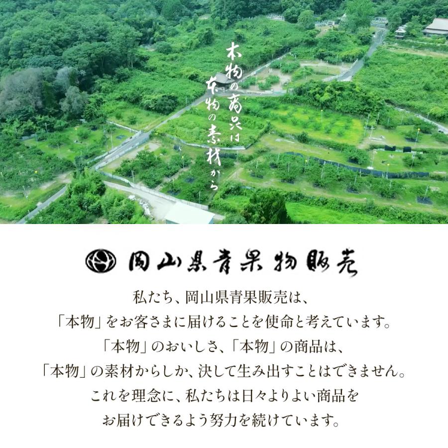 送料無料 岡山県産 黄金桃 3玉(300g×3) 【出荷時期:8月下旬頃〜順次