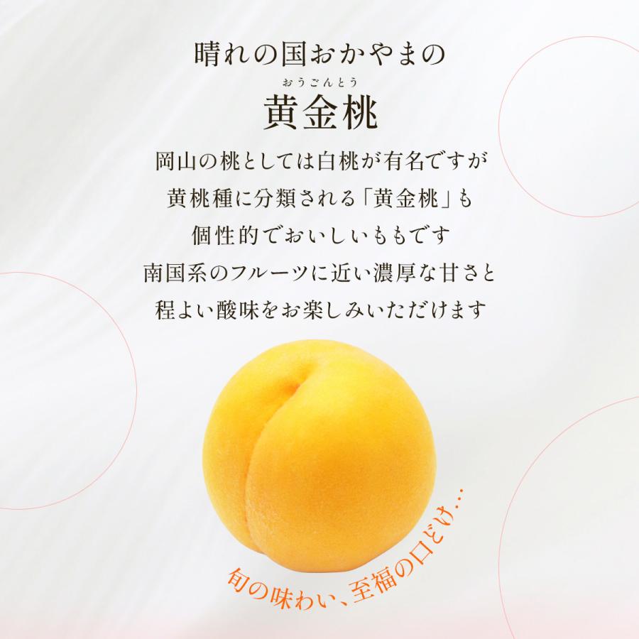送料無料 岡山県産 黄金桃 3玉(300g×3) 【出荷時期:8月下旬頃〜順次