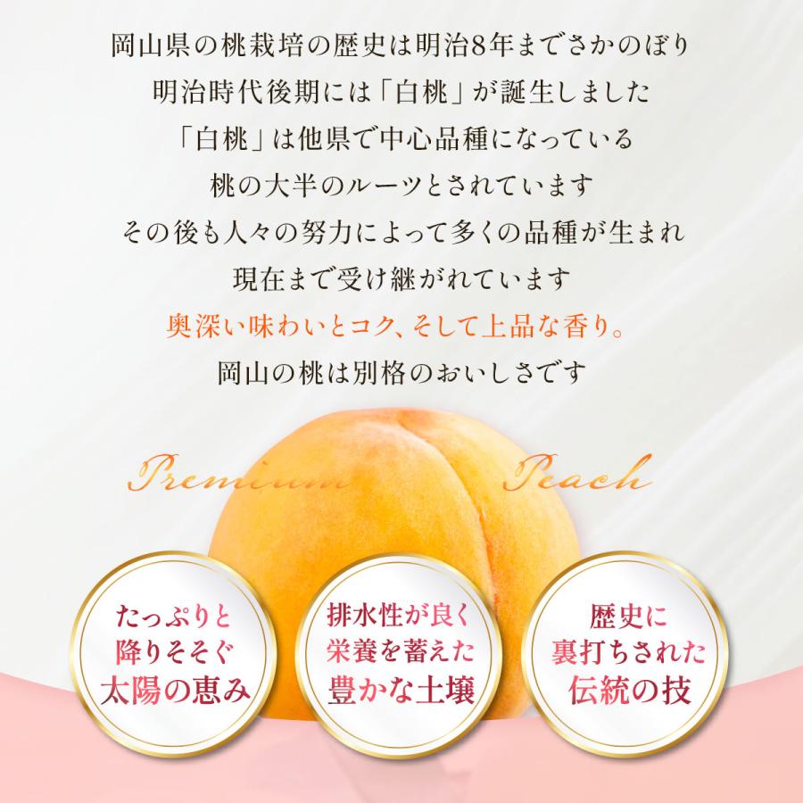 送料無料 岡山県産 黄金桃 3玉(300g×3) 【出荷時期:8月下旬頃〜順次