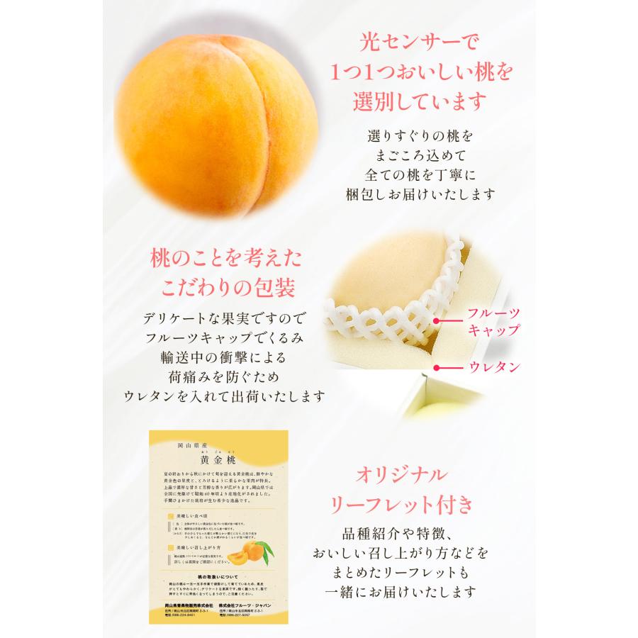 送料無料 岡山県産 黄金桃 3玉(300g×3) 【出荷時期:8月下旬頃〜順次
