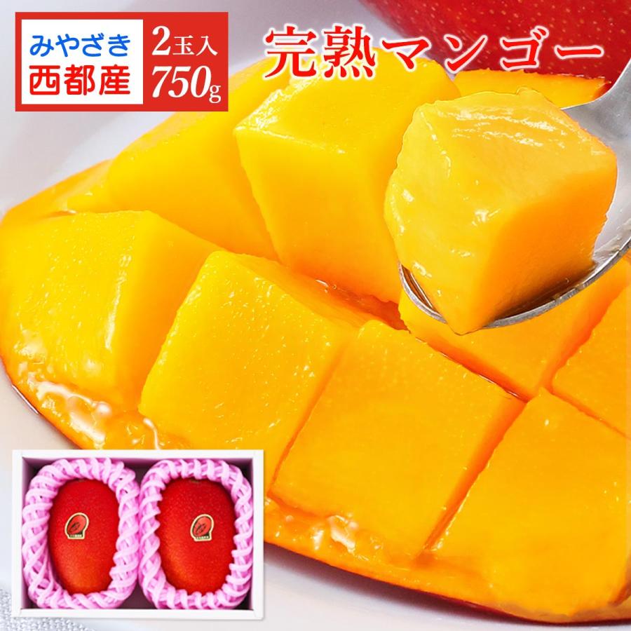 宮崎県産マンゴー 2玉 宮崎 完熟マンゴー 2L 750g(2玉)【発送時期:5月