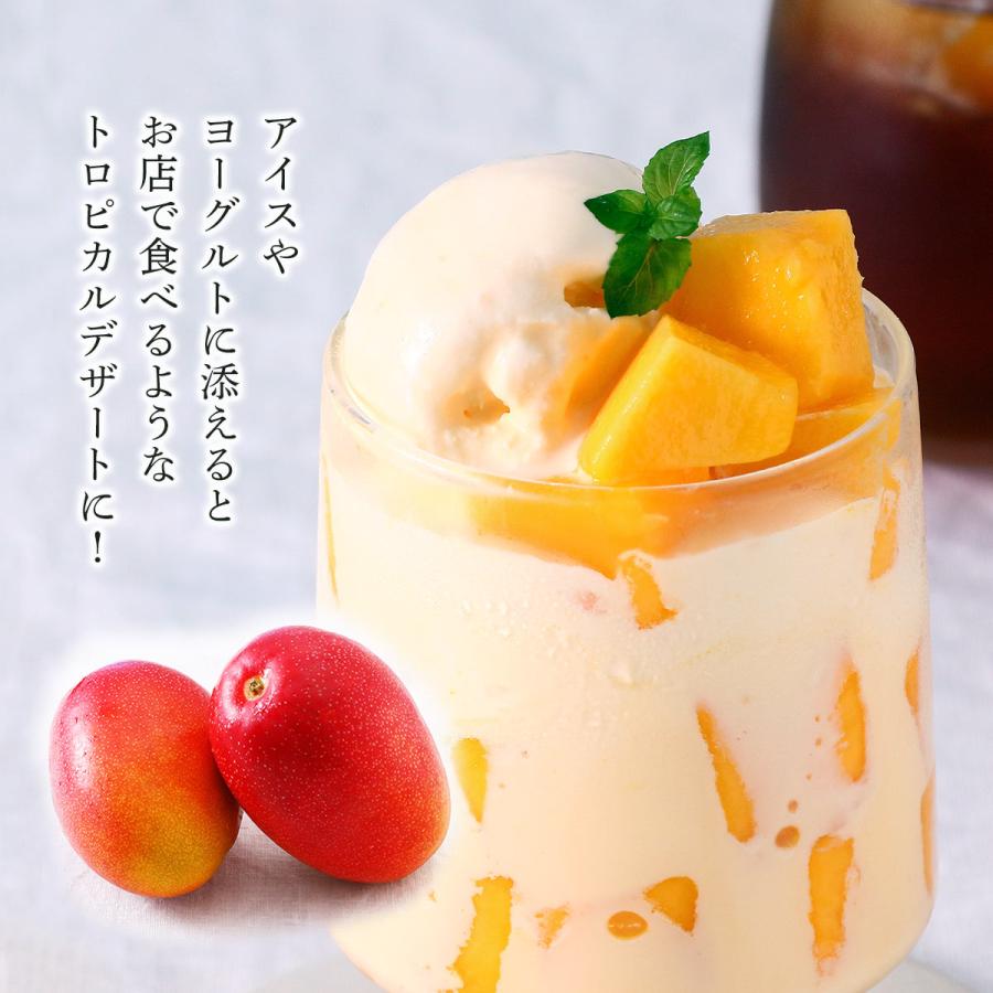 宮崎県産マンゴー 2玉 宮崎 完熟マンゴー 2L 750g(2玉)【発送時期:5月