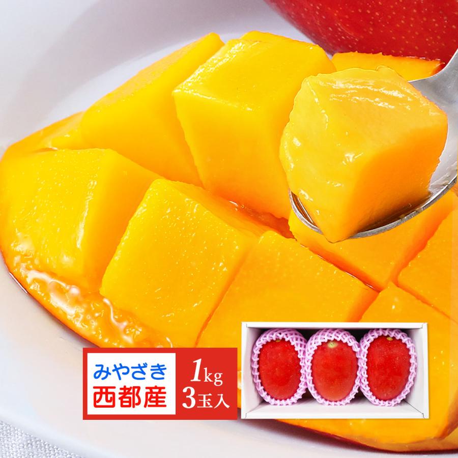 宮崎県産マンゴー 3玉 宮崎 完熟 マンゴー 2L 1kg(3玉)【発送時期:5月