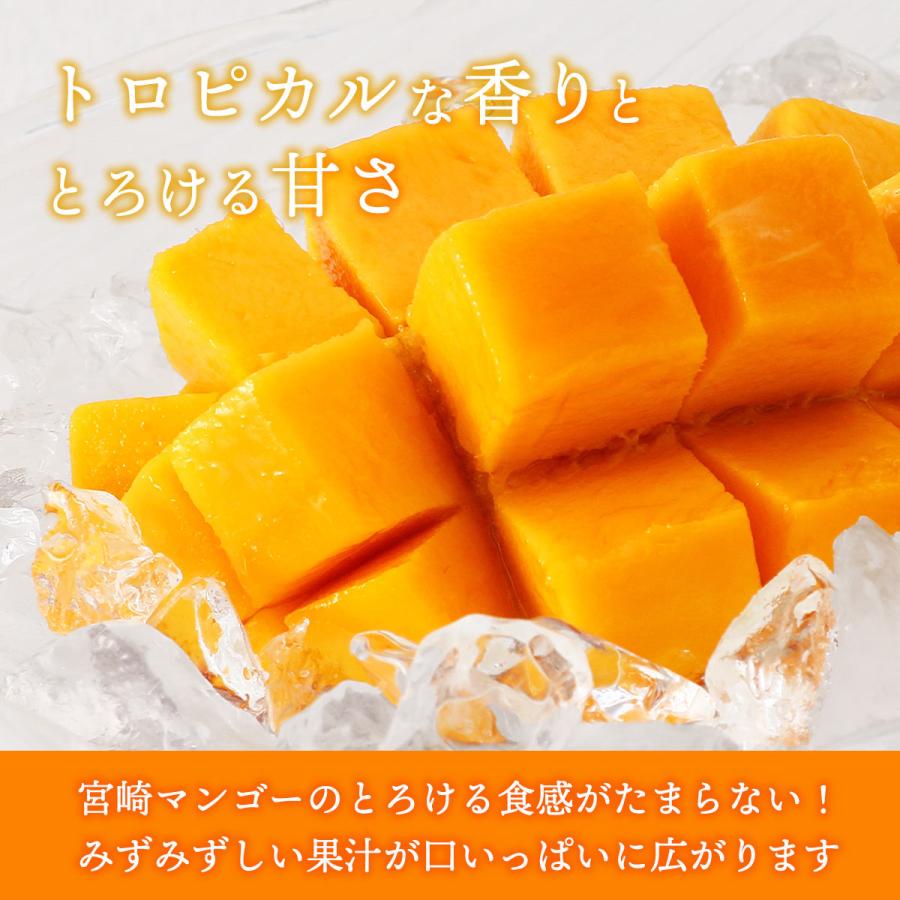 宮崎県産マンゴー 3玉 宮崎 完熟 マンゴー 2L 1kg(3玉)【発送時期:5月