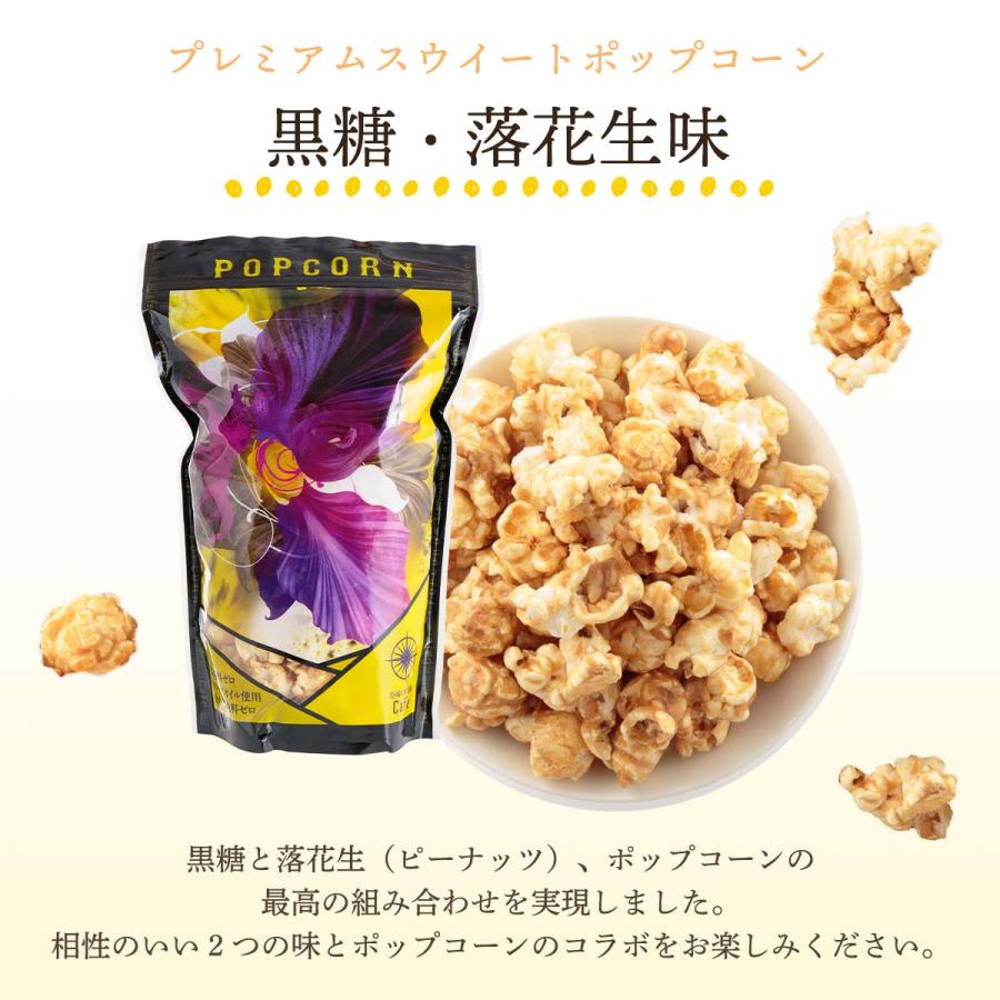 長崎 ポップコーン ちゃんぽん [長崎の路地裏Cafe] セット 27g×1袋