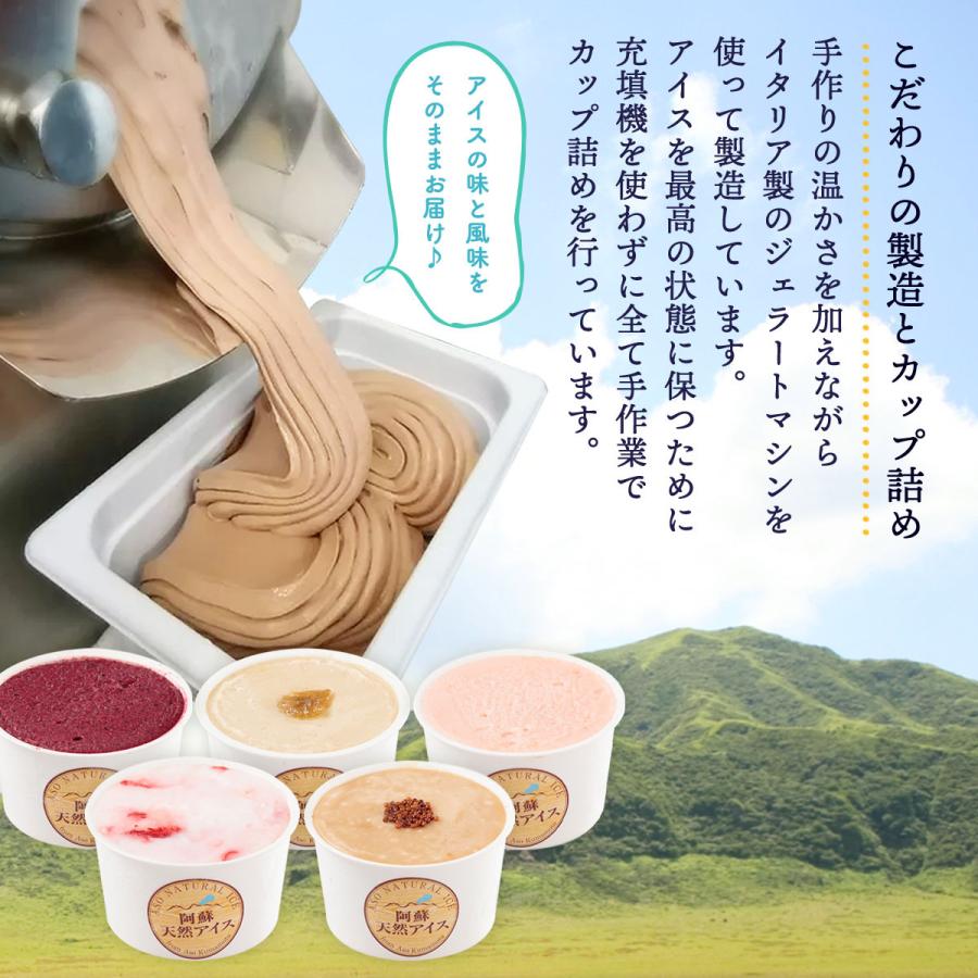 阿蘇天然アイス] 無添加アイス 「極みシリーズ」 (乳/卵 アレルギー 