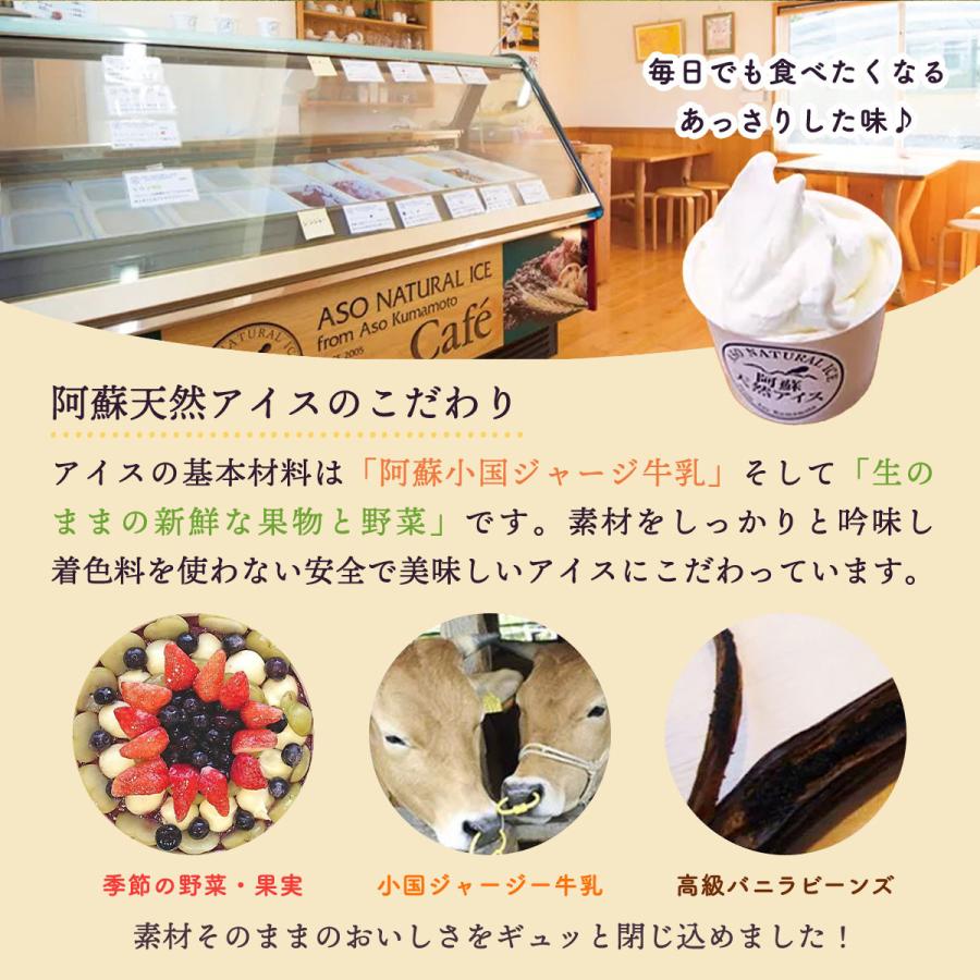 送料無料 阿蘇天然アイス ジャージー牛乳で作った自家製ヨーグルトの アイスケーキ ベリー アイスのお花畑 直径 15cm ラクトアイス マーケティング