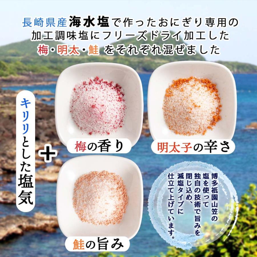 塩 3種セット [大盛食品] 祇園 山笠 おにぎりの塩 セット 100g×3種